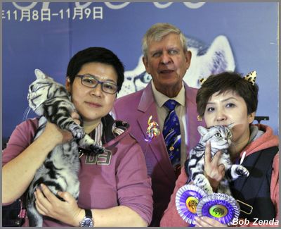 Cat Life Xiao Mogu & Cat Life Sunflower